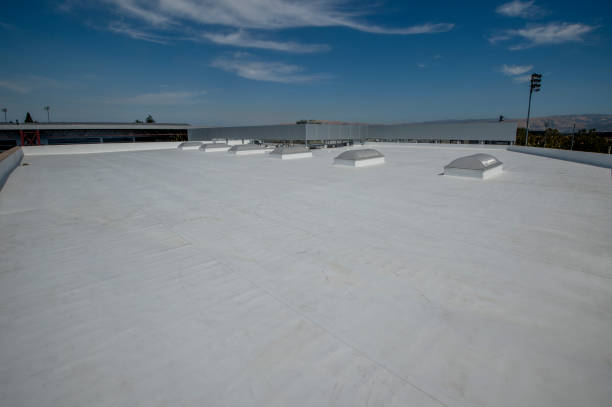 Best Gutter Installation and Repair  in Ramona, CA