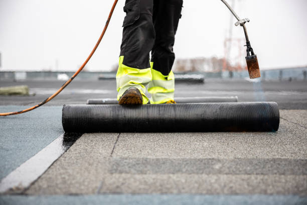 Best Metal Roofing Installation  in Ramona, CA