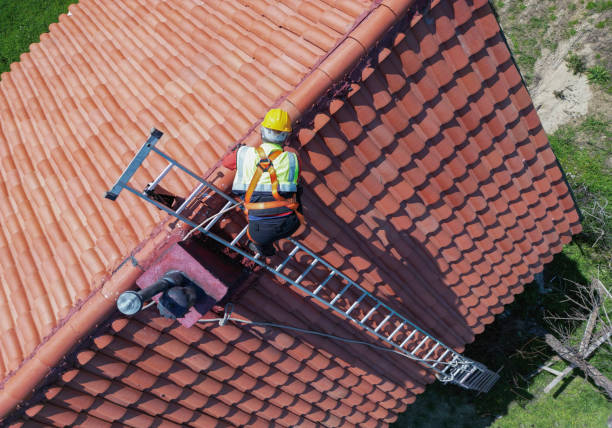 Best Roof Insulation Installation  in Ramona, CA